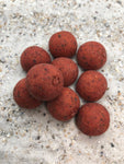 Salty krill Robin red boilies